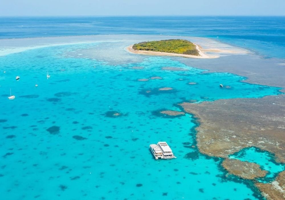 Lady Musgrave Island