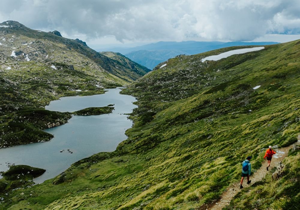 Mountain and Alpine Hikes in NSW