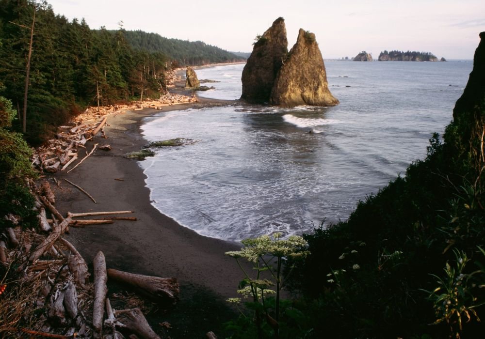 Olympic National Park